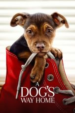 Nonton Film A Dog's Way Home (2019) Sub Indo