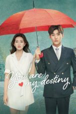 Nonton Drama China You Are My Destiny Sub Indo