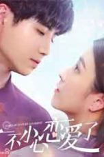 Nonton Drama China I Fell in Love By Accident (2020) Sub Indo