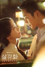 Nonton Drama Korea Snowdrop (2021) Sub Indo Drachindo