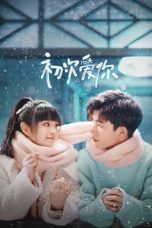 Nonton Drama China First Love (2022) Sub Indo